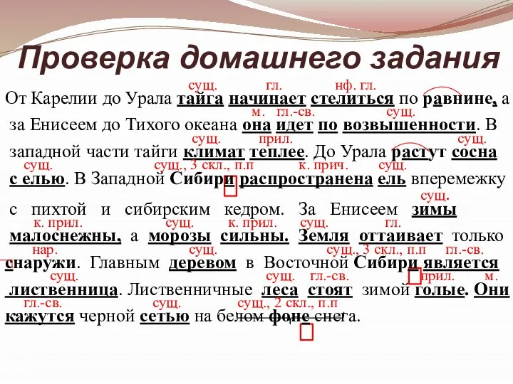 сущ. гл. нф. гл. От Карелии до Урала тайга начинает стелиться по