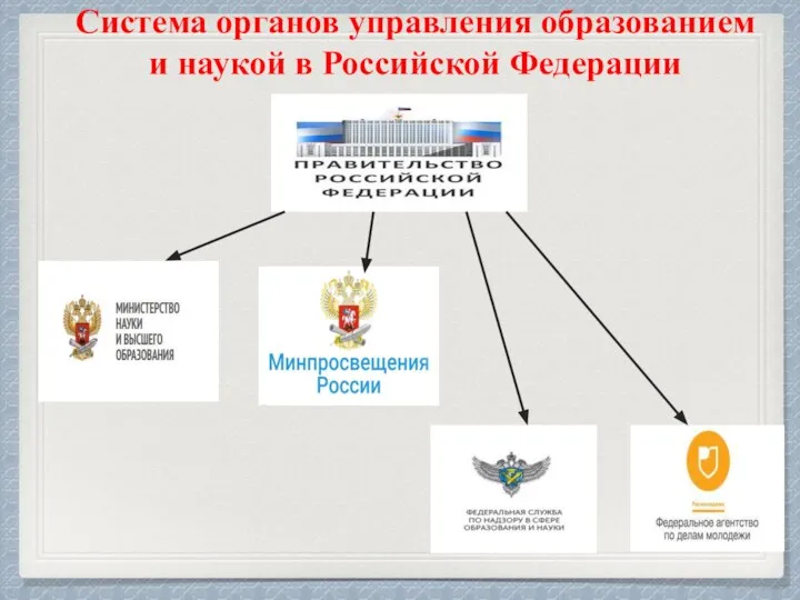 Система органов управления образованием и наукой в Российской Федерации