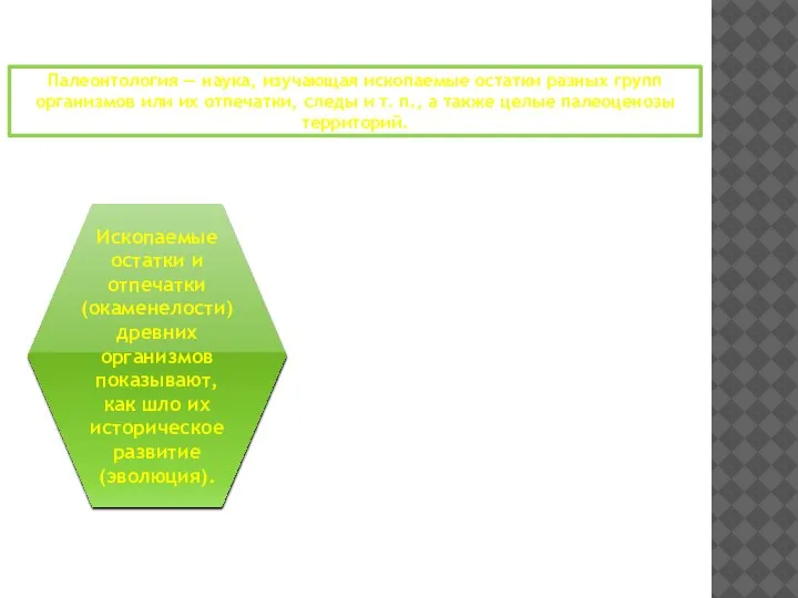 Палеонтологические доказательства Палеонтология — наука, изучающая ископаемые остатки разных групп организмов или
