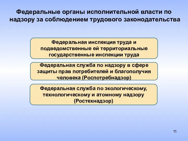 Федеральные органы исполнительной власти по надзору за соблюдением трудового законодательства Федеральная служба