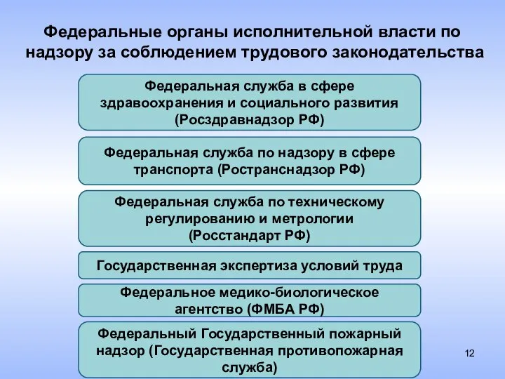 Федеральные органы исполнительной власти по надзору за соблюдением трудового законодательства Федеральная служба