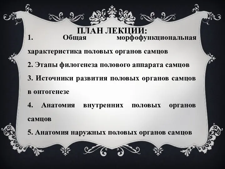 ПЛАН ЛЕКЦИИ: 1. Общая морфофункциональная характеристика половых органов самцов 2. Этапы филогенеза