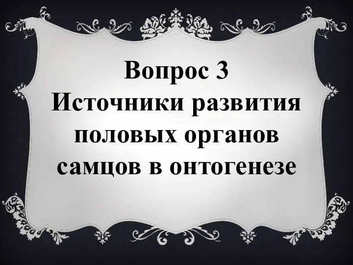 Вопрос 3 Источники развития половых органов самцов в онтогенезе