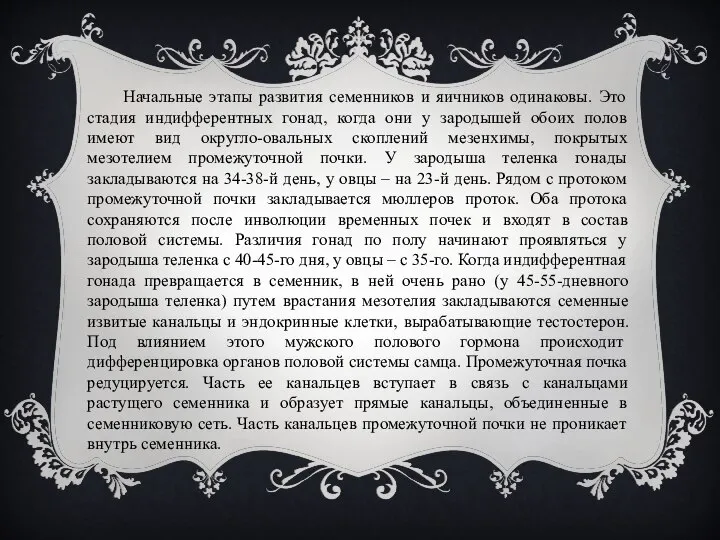 Начальные этапы развития семенников и яичников одинаковы. Это стадия индифферентных гонад, когда