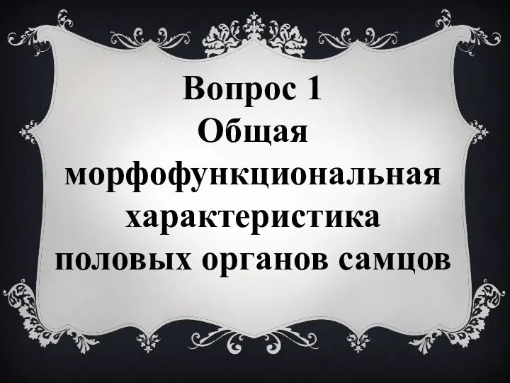 Вопрос 1 Общая морфофункциональная характеристика половых органов самцов