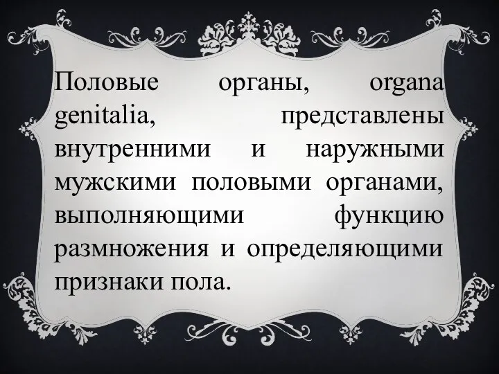 Половые органы, organa genitalia, представлены внутренними и наружными мужскими половыми органами, выполняющими