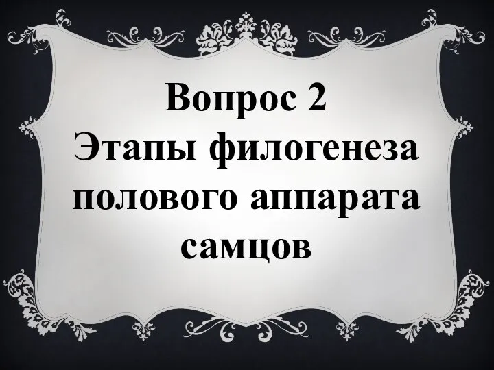 Вопрос 2 Этапы филогенеза полового аппарата самцов