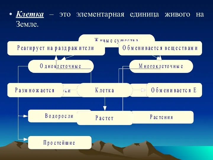 Клетка – это элементарная единица живого на Земле.