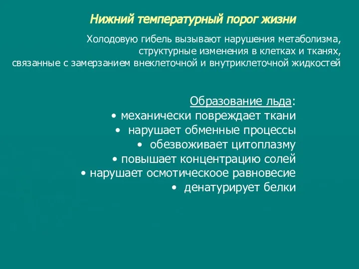 Нижний температурный порог жизни Холодовую гибель вызывают нарушения метаболизма, структурные изменения в