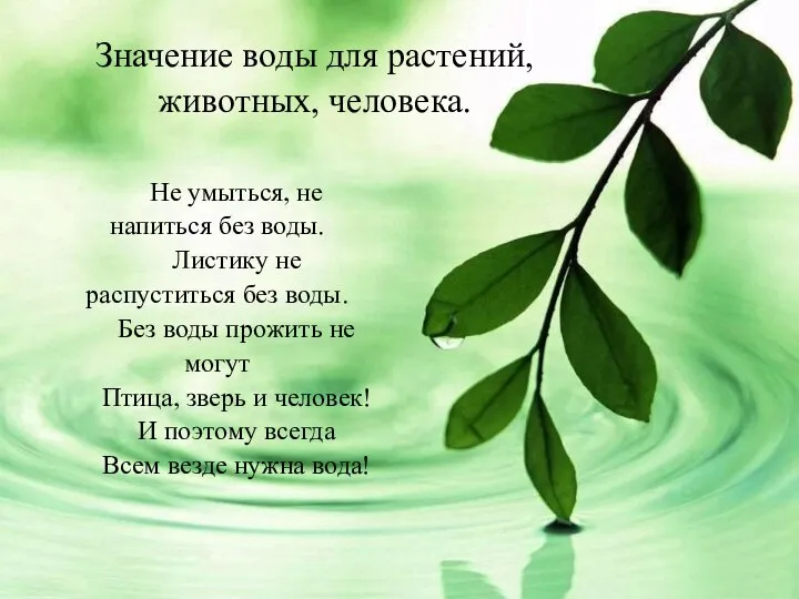 Не умыться, не напиться без воды. Листику не распуститься без воды. Без