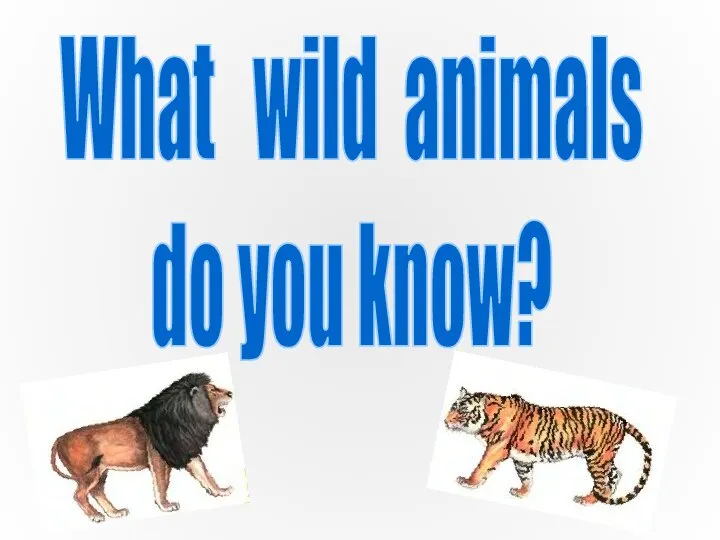 What wild animals do you know?