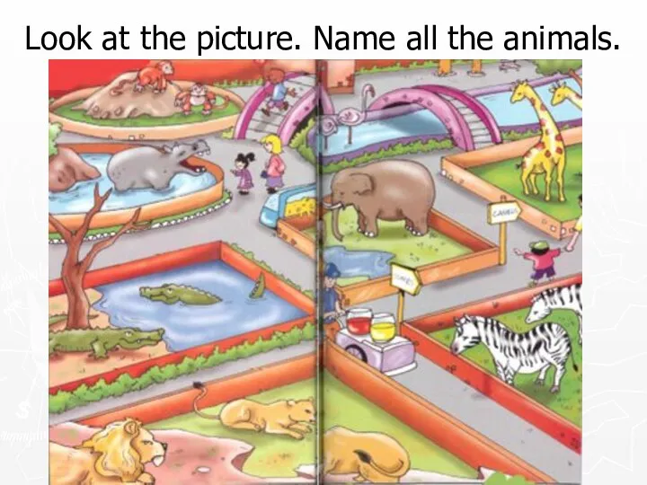 Look at the picture. Name all the animals.