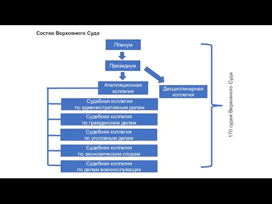 Состав Верховного Суда Пленум Президиум Апелляционная коллегия Дисциплинарная коллегия Судебная коллегия по