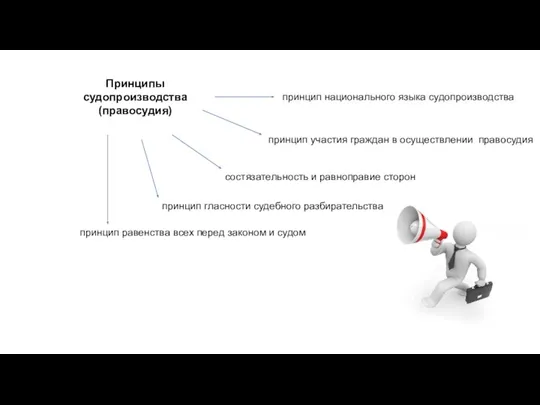 Принципы судопроизводства (правосудия) принцип равенства всех перед законом и судом принцип гласности