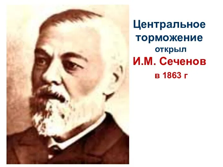 Центральное торможение открыл И.М. Сеченов в 1863 г