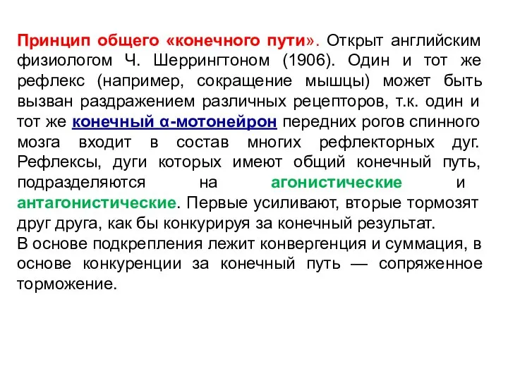 Принцип общего «конечного пути». Открыт английским физиологом Ч. Шеррингтоном (1906). Один и