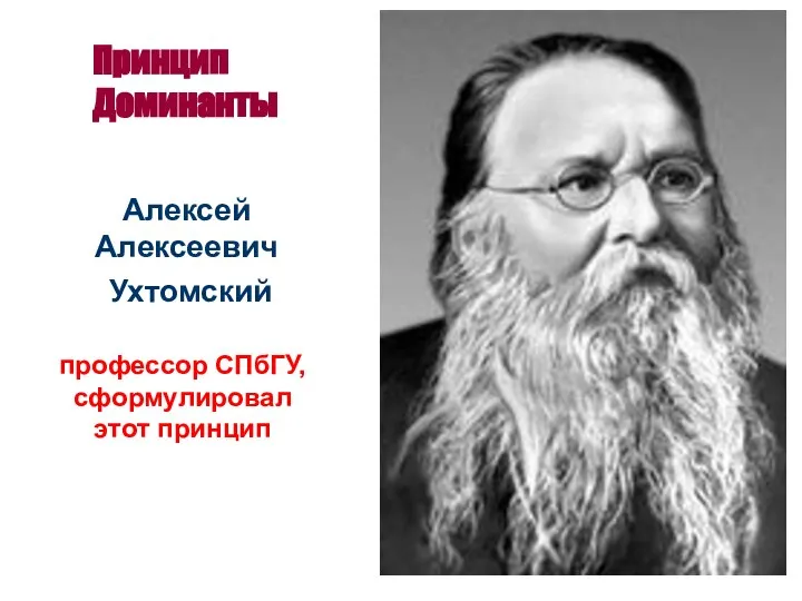 Принцип Доминанты Алексей Алексеевич Ухтомский профессор СПбГУ, сформулировал этот принцип