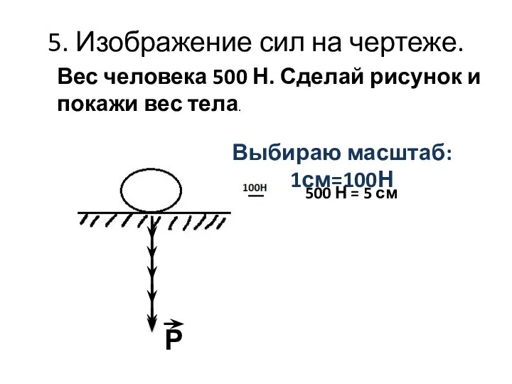 5. Изображение сил на чертеже. Выбираю масштаб: 1см=100Н Р Вес человека 500