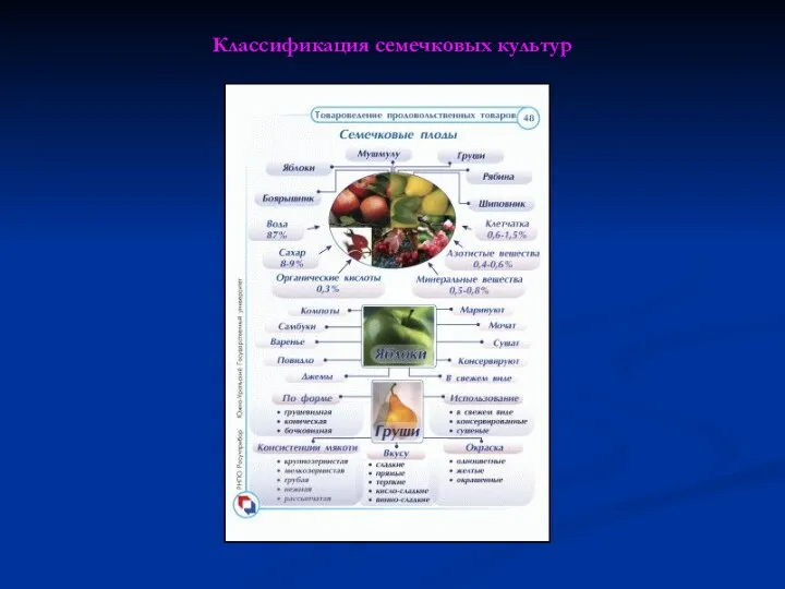 Классификация семечковых культур