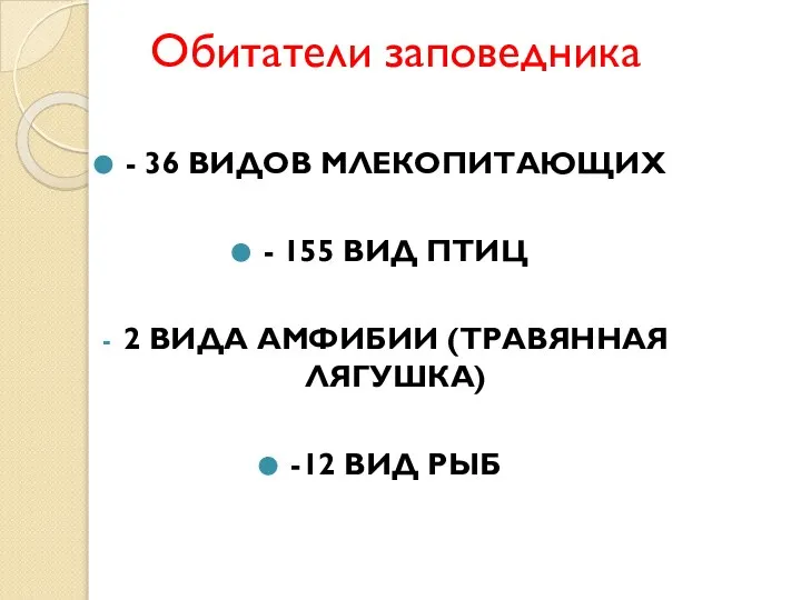 Обитатели заповедника - 36 ВИДОВ МЛЕКОПИТАЮЩИХ - 155 ВИД ПТИЦ 2 ВИДА