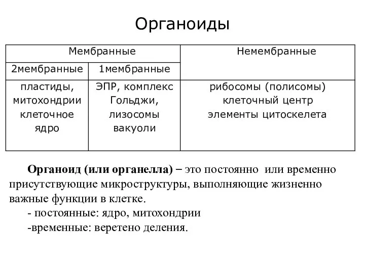 Органоиды Органоид (или органелла) – это постоянно или временно присутствующие микроструктуры, выполняющие