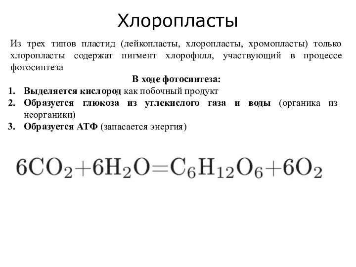Хлоропласты Из трех типов пластид (лейкопласты, хлоропласты, хромопласты) только хлоропласты содержат пигмент