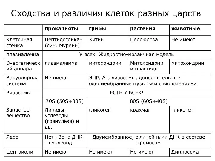 Сходство строения большинства систем органов. Сходства и различия клеток. Различия клеток разных Царств. Сходства и различия разных клеток. Сравнительная характеристика клеток разных Царств.