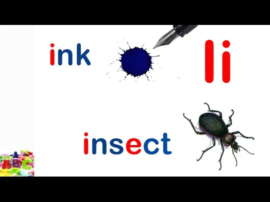 Ii ink insect