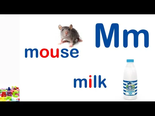 Mm mouse milk