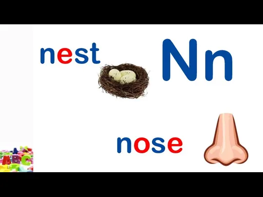 Nn nest nose