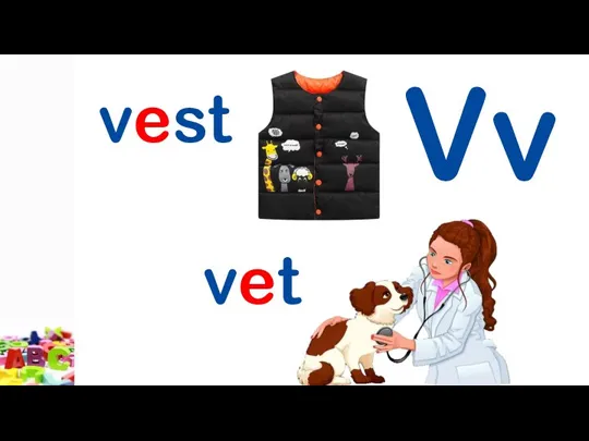 Vv vest vet