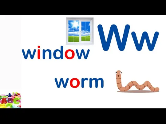 Ww window worm