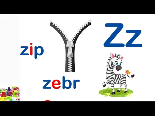 Zz zip zebra