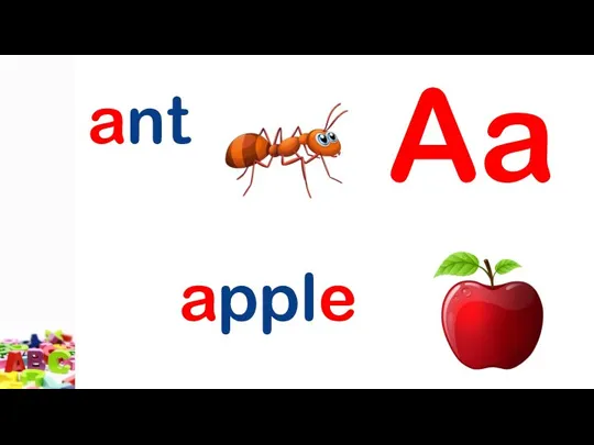 Aa ant apple