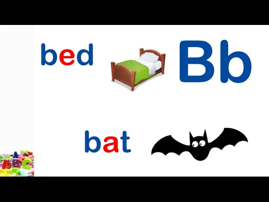 Bb bed bat