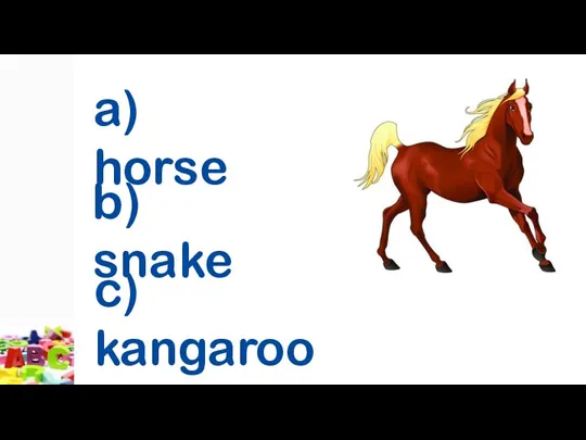 a) horse b) snake c) kangaroo