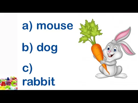 a) mouse b) dog c) rabbit