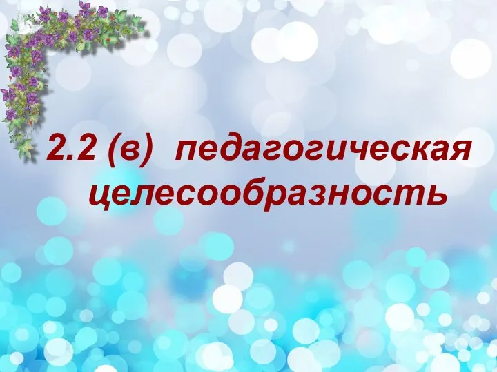 2.2 (в) педагогическая целесообразность