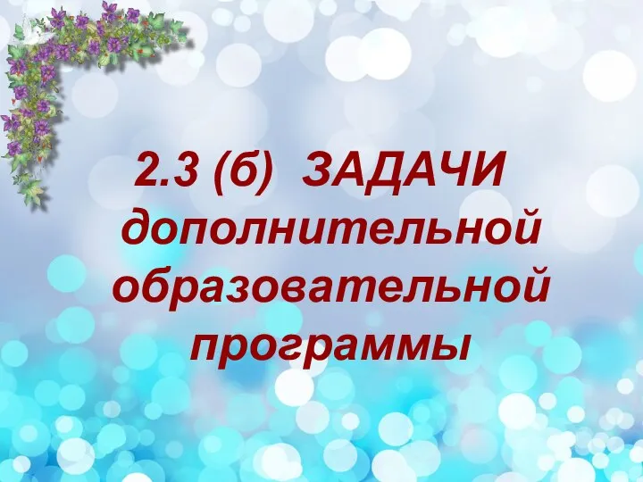 2.3 (б) ЗАДАЧИ дополнительной образовательной программы