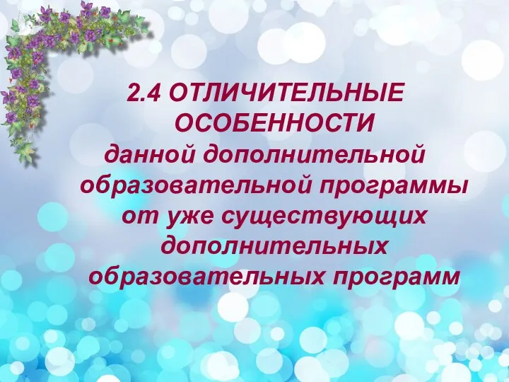 2.4 ОТЛИЧИТЕЛЬНЫЕ ОСОБЕННОСТИ данной дополнительной образовательной программы от уже существующих дополнительных образовательных программ