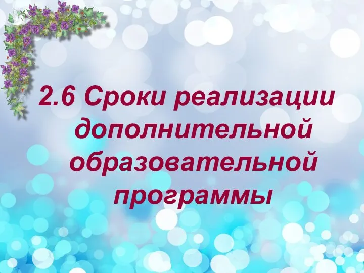 2.6 Сроки реализации дополнительной образовательной программы