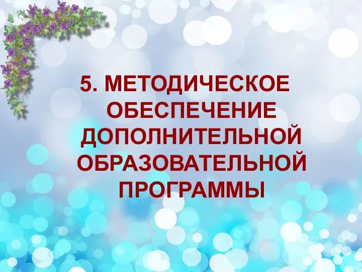 5. МЕТОДИЧЕСКОЕ ОБЕСПЕЧЕНИЕ ДОПОЛНИТЕЛЬНОЙ ОБРАЗОВАТЕЛЬНОЙ ПРОГРАММЫ