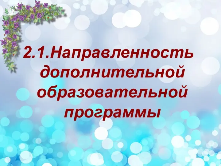 2.1.Направленность дополнительной образовательной программы