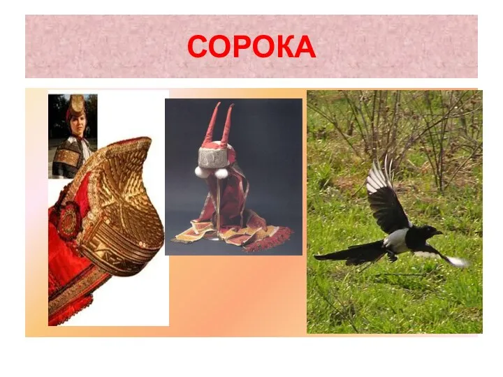 СОРОКА