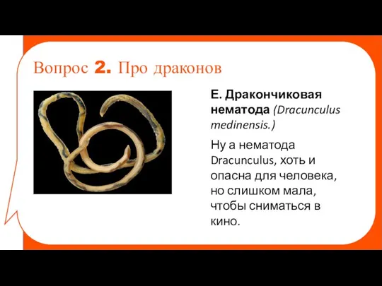 Вопрос 2. Про драконов Е. Дракончиковая нематода (Dracunculus medinensis.) Ну а нематода