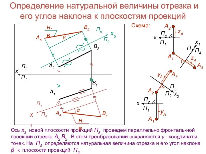 Определение натуральной величины отрезка и его углов наклона к плоскостям проекций x