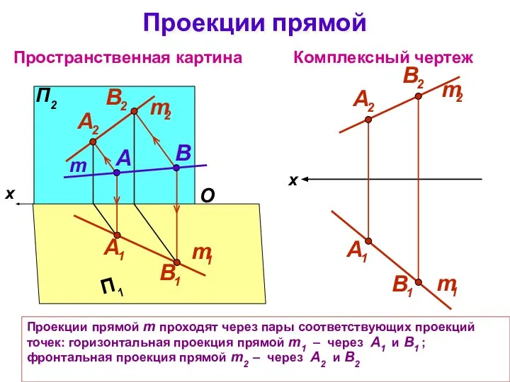 Проекции прямой m проходят через пары соответствующих проекций точек: горизонтальная проекция прямой
