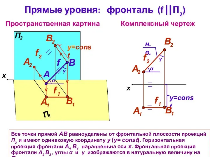 Пространственная картина Комплексный чертеж x B f Прямые уровня: фронталь (f ⎢⎢П2)