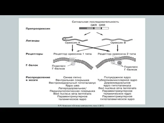 В. М. Ковальзон «Основы сомнологии», глава 3. 2012.