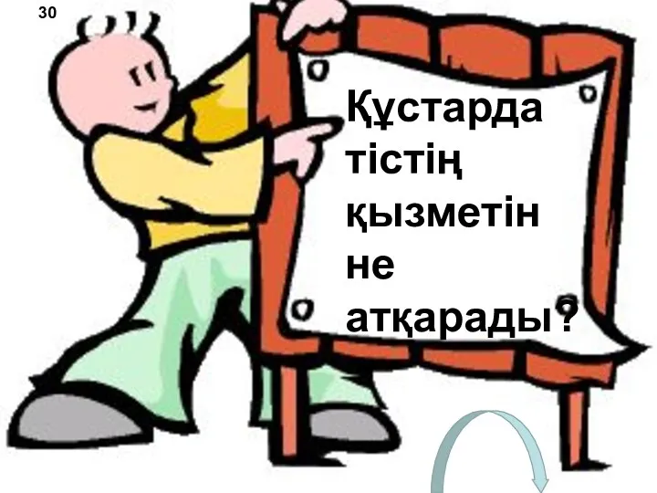 Құстарда тістің қызметін не атқарады? 30